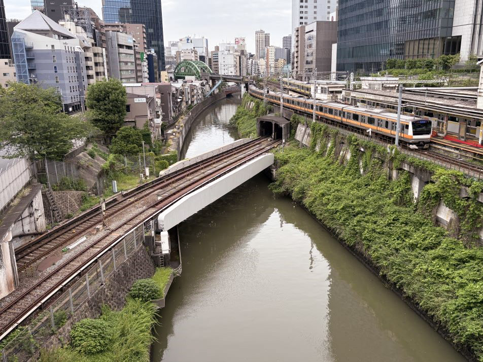写真：