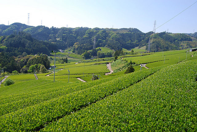 ph20130906-001.jpg