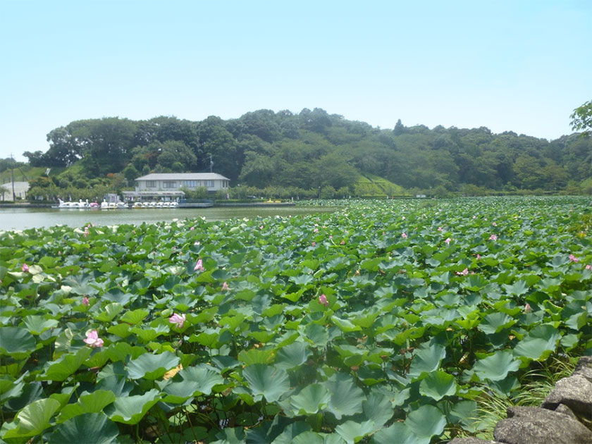 写真：工場内部の様子