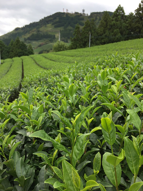 ph20130906-001.jpg