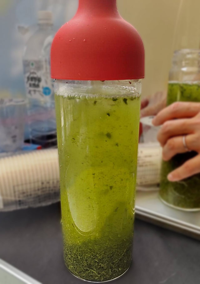 写真：水出し茶のボトル