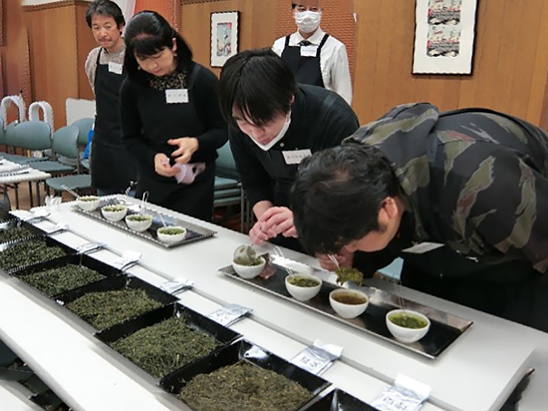 写真：お茶を観察する参加者の様子
